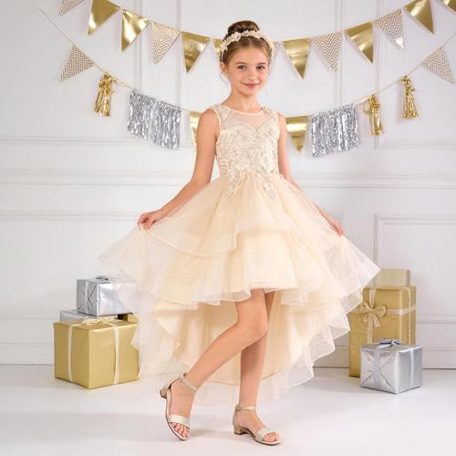 Image of DREAM PAIRS Girls Sandals Low Heel Dress Pump Ankle Strap Flower Wedding Party Shoes for Little Kid /Big Kid