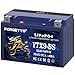 Lithium YTX9-BS, LiFePO4 Motorcycle Battery, 12V 5AH 400A ATV, UTV, Jet Ski, 4 Wheeler,Snowmobile,Tractor and Generator Battery