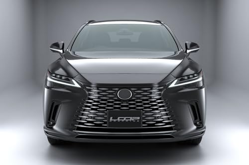 [vOtBNX AbNXO LEXUS ݊i RX o[WL ALH10^p hϕi X[g[J[iOt@CgubNߎF^viFVo[^viFsAmubNj