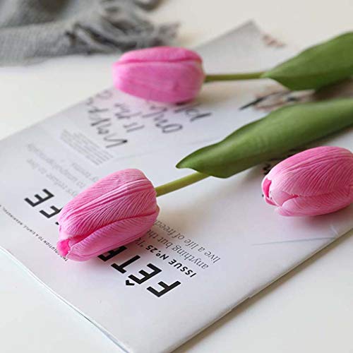 `[bv@ԁ@CeA@tFCNt[@A@{@@@v[g@̓@蕨@JXj@@Ȃԁ@sN@3{