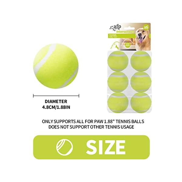 Dog Toys for Exercise and Training