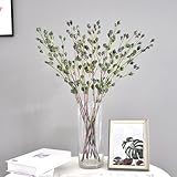 Zoom IMG-2 haloppe simulazione eucalipto senza irrigazione Zoom IMG-2 haloppe simulazione eucalipto senza irrigazione