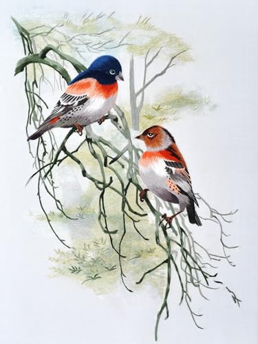 MINGGUXIUYI 6 Farben reine Maulbeerseide à 22 m, edles Seidengarn für feine Handarbeiten und Kunststickerei (20)