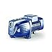Elettropompa Autoadescante Hp 1,5 Kw 1,1 230V Jswm2Ax Pedrollo - 3
