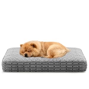 Heymamba Hundebett Mittelgroße Hunde - Mit Orthopädischer Funktion, Hundekissen Waschbar Abnehmbar, Hundekorb Flauschig Atmungsaktiv rutschfest, Hundematte für Mittelgroße Hunde, Grau, 75x50x12cm