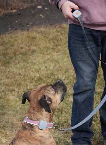 Hundetrainingsgerät – Das Original-Kona Clip wurde in den USA entworfen Vibrationskorrektur mit Fernbedienung für kleine, mittelgroße und große Hunde, Leinentraining, wasserdicht, wiederaufladbar