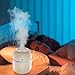 Imagen de Humidificadores portátiles de niebla fría de 220 ml