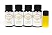Fragrance Oil Sampler Set with Bonus Oil-Plumeria, Honeysuckle, Lilac Blossom, Fresh Cut Roses and Bonus Cotton Blossom-Scents for Candle Making and Soap Making- Works in Diffusers, Warmers, Potpourri