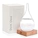 GM GMISS Storm Glass Weather Stations Water Drop Weather Predictor Creative Forecast Nordic Style Decorative Weather Glass on Home & Office (2X,4)