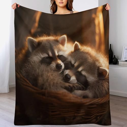 Couverture raton laveur pour des soirées cocooning sur le canapé