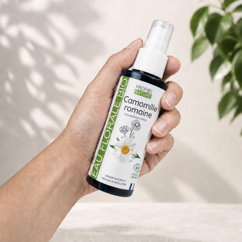 Hydrolat de Camomille Romaine Bio - Chamaemelum nobile - Origine France - 100 ml - PROPOS'NATURE – vue 3
