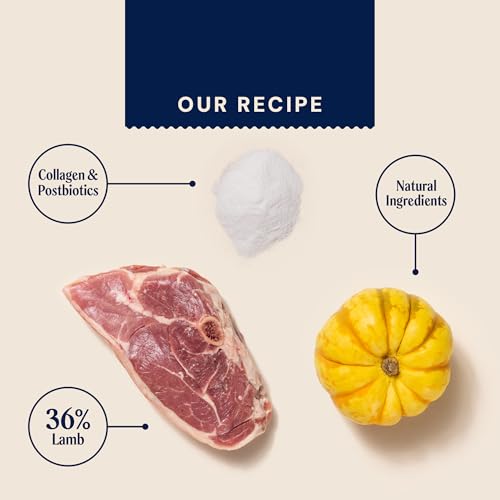 Pooch & Mutt - Herz-hafte Lamm Fleisch-Leckerlis für Valentinstag, gemischte Packung, 7x120 g