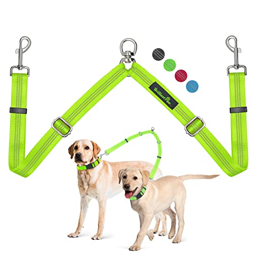 Brilliant Paw Double Dog Leash, Two Dog Leash Splitter, Adjustable Length And Tangle Free, Heavy Duty Walking Training Dual Dog Leash Extension For Medium And Large Dog, Green #TOP7