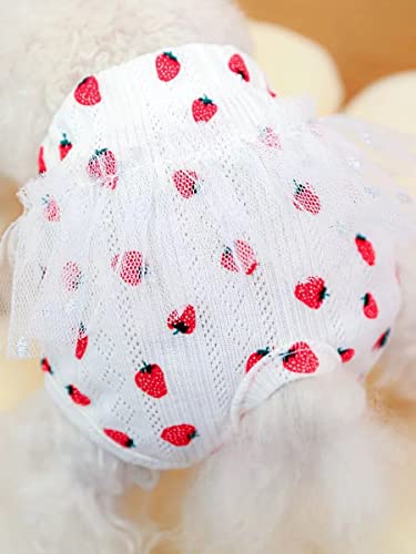 Image of Small Dog Sanitary Panties, Lace Washable Reusable Cute Puppy Panties Pet Underwear Diaper Physiological Shorts for Female Girls Dogs(Strawberry,M)
