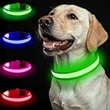 Nepfaivy Collar Luminoso para Perros - 3 Modos Collar Perro Luz con USB Recargable y Impermeable, Ajustable Collares LED para Perros Pequeños, Medianos y Grandes (Verde-L)