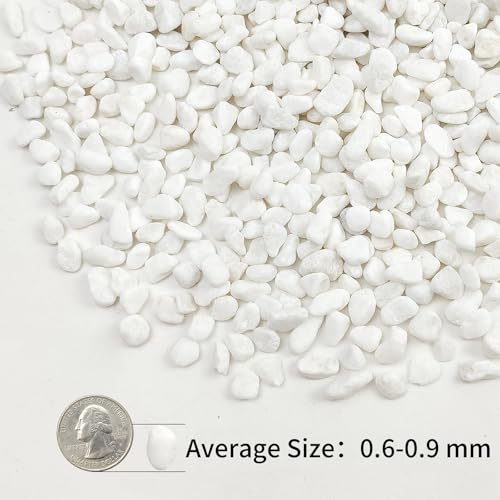 Image of 2lbs White Pebbles for Indoor Plants, 3 /8inch Small Rocks for Succulent Cactus Planters, Natural Polished Pebbles, River Rocks for Plants, Vases, Garden