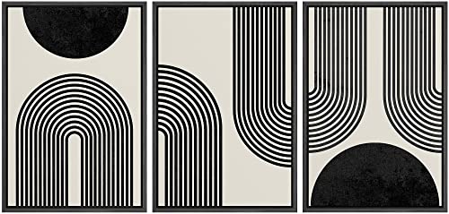 SIGNLEADER Framed Canvas Print Wall Art Spiral Parabolas & Solid
