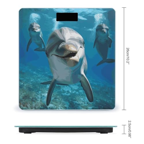Báscula digital para baño con plataforma amplia y pantalla LCD miniatura 2