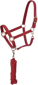 Tough1 Padded Horse Halter with Antique Hardware and Lead Rope