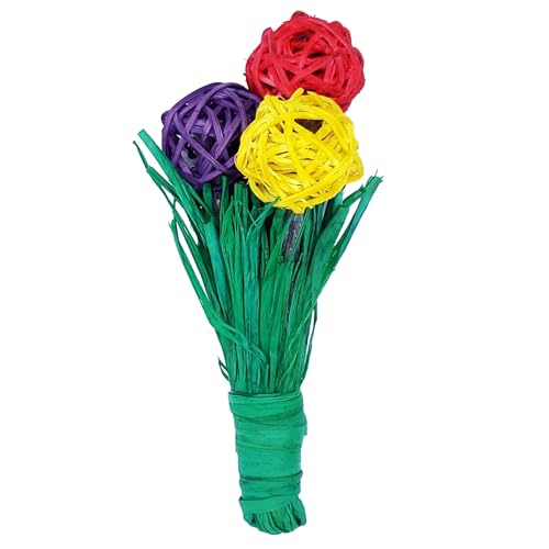 A&E CAGE COMPANY AEC Toy Nibble CHWY Blooms