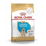 Royal Canin Labrador Retriever Puppy Food, 3 Kg, Dry Food, Supports Digestive health & Immune System, Promotes Healthy Growth & Weight Management
