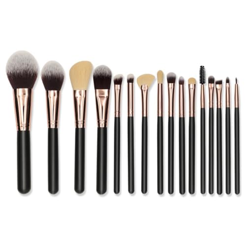 Apaeofl 16{CNuVZbg MS[h NVbNV[Y CNuV σuV GKX _炩 σ|[`t ubN () (CNuV16{Zbg xAuV+OPP)