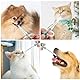 Oruola 3 Stück Tabletteneingeber Katze,Tablette Feeder,Haustier Pille Shooter,Haustier Medikamenten Spritze,Hund Pille Shooter,Tablet Feeder Krankenpflege Pusher Shooter Pills Feeder für Katzen Hunde