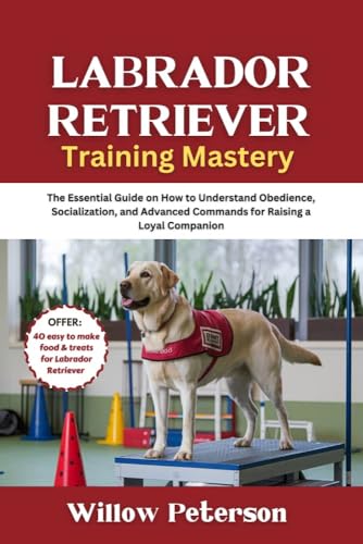 Labrador Retriever Training Mastery: The Essential Guide on How to