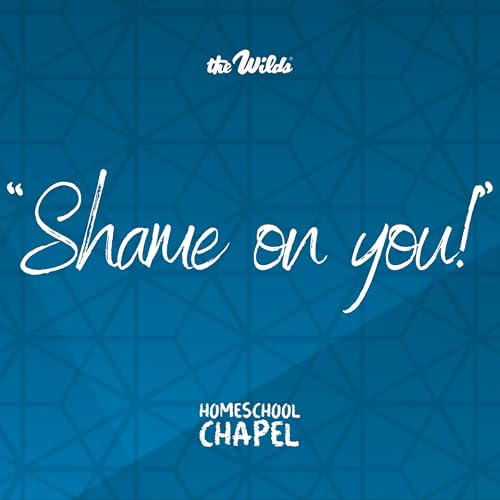 Couverture de "Shame on you!"☝️😞