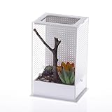 カマキリアクリル飼育ボックス、カマキリ飼育ボックス、昆虫ボックス、昆虫飼育ボックス、カマキリ造園ヴィラ昆虫ボックス、爬虫類飼育ボックス (12*10*20cm)