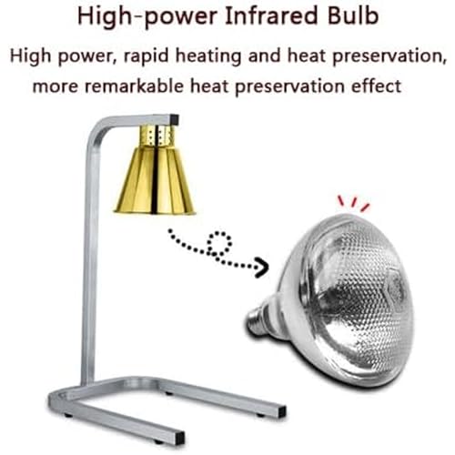 Lampe chauffante double pour aliments réglable avec 2 ampoules