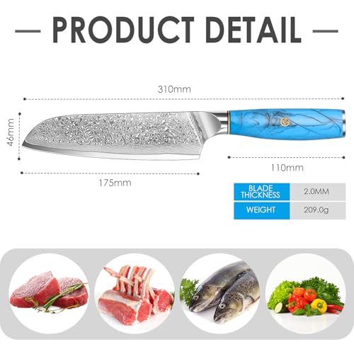 Santoku Knife, 17.5 cm Damascus Kitchen Knives, Made of 67 Layers of Vg-10 Damascus Steel, Ergonomic Natural Resin Blue Handle Cooking Knife for Home Restaurant, Gift Box