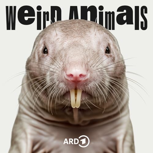 Nacktmull &ndash; Ewig jung und unverwundbar?