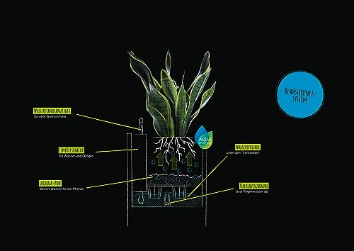 Lechuza Canto Stone 40, Pietra Bassa, Grigia 13720 - 5