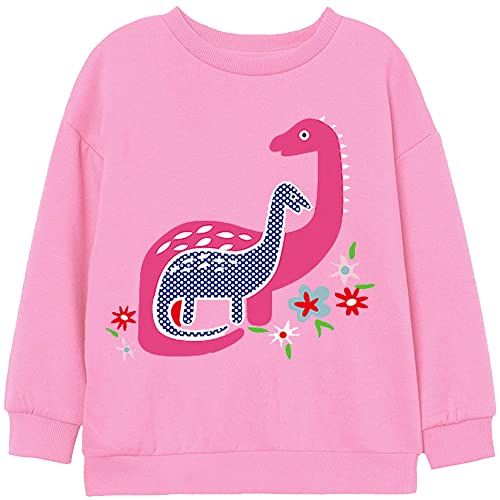 LXKA Sudaderas de manga larga para niñas, camisetas de unicornio y arcoíris, ropa de algodón para niños de 1 a 7 años, 5 dinosaurios, 3-4 Años Cover