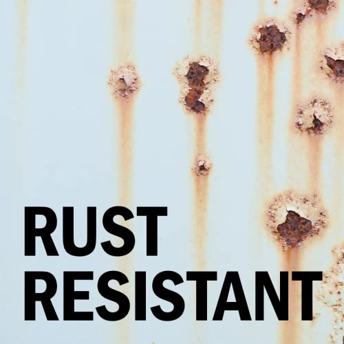 Seymour Paint EN-43 Hi-Tech Engine Spray Paint, Ford Gray 12 Ounce (Pack of 1)