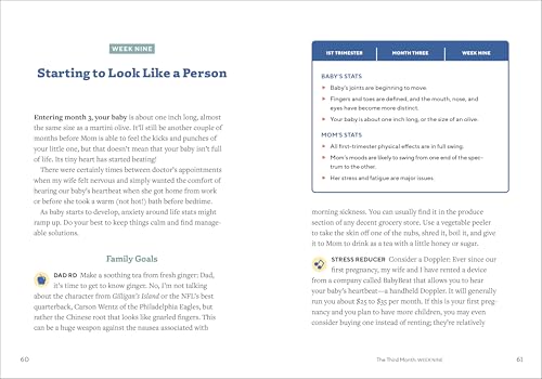 First Time Dad's Pregnancy Handbook 2 First Time Dad's Pregnancy Handbook - Image 2