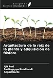 Ediciones Nuestro Conocimiento