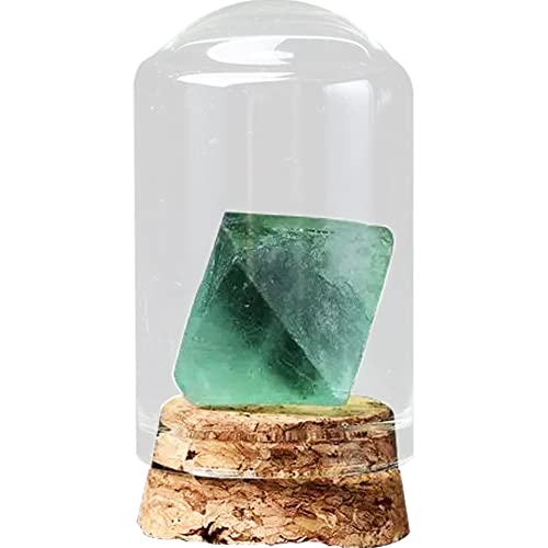 HIGHAWK岩石標本 天然石 ガラスカバー 鉱石 防塵 置物 オーナメント ガラス瓶 展示 標本ボックス テーブル コレクション 地質科学 装飾品 小物（蛍石八面体S）のサムネイル