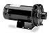 Dayton Cast Iron 3/4 HP Centrifugal Pump 208-230/460V, 4RJ73