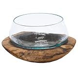 Produktart: Dekoglas, Glas auf Wurzelholz Modell: Dekoglas mit Holzfuss Maße ca.: Durchmesser 20 cm, Höhe 15 cm Gewicht zus. ca.: 1,4 Kg