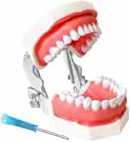 Dental Technology