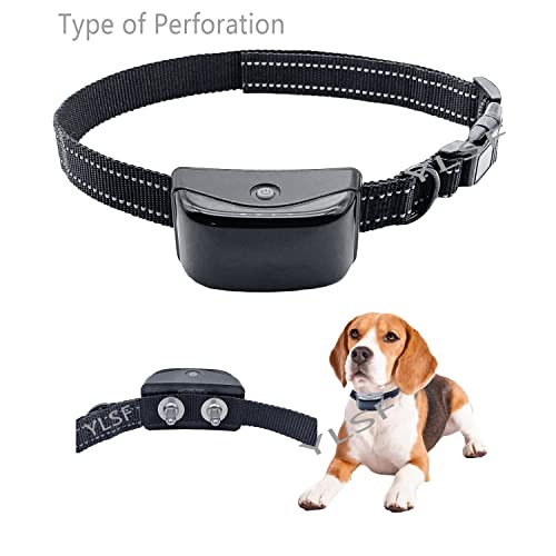 EIN hundehalsband mit Zwei Loch in einem elektrozaun, an dem Man gewöhnt ist, braucht einen um einen Halsband durch elektronische Ringe zu ersetzen, die mit Fast Allen Marken verbunden sind