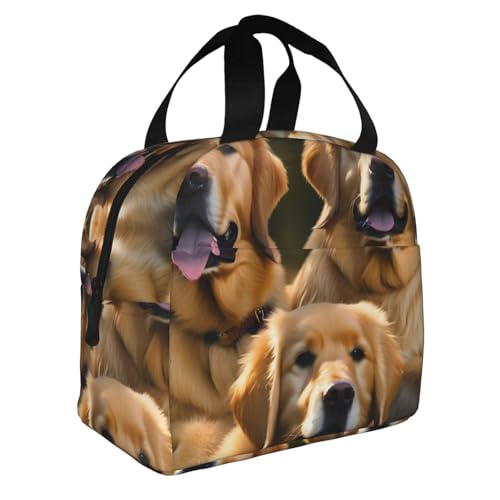 GaxfjRu Golden Retrievers - Lonchera térmica y versátil, adecuada para lonchera Bento