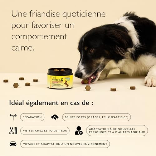 Rescue Pets – Leckerli für Hunde – Ruhe für Reisen, Lärm, Einsamkeit, Tierarztbesuch – Vegan & ohne Alkohol – Natur