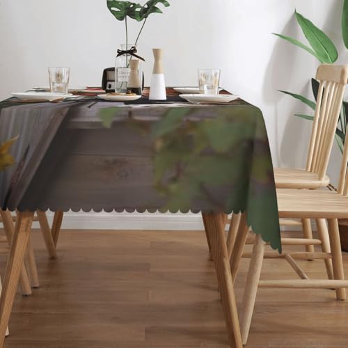Nappe rectangulaire anti-tache lavable pour protéger la table des déversements