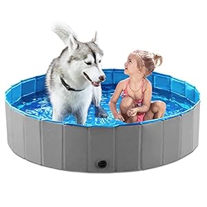 Jasonwell Foldable Dog Pet Bath Pool Collapsible Dog Pet Pool Bathing Tub Kiddie Pool Doggie Wading Pool for Puppy Small Medium Large Dogs Cats and Kids 48" Grey Jasonwell Foldable Dog Pet Bath Pool Collapsible Dog Pet Pool Bathing Tub Kiddie Pool Doggie Wading Pool for Puppy Small Medium Large Dogs Cats and Kids 48 Grey