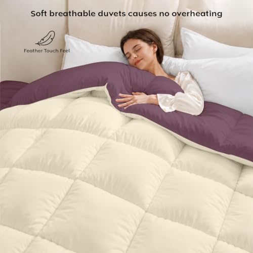 Image of AYKA Reversible Comforter 220 GSM Microfiber Reversible AC Comforter /Blanket for Winter /Quilt /Dohar /Duvets for King Size Blanket /Comforter Double Bed (Plum & Pearl, 60 * 90 inch)