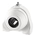 System Plast UCPA206-20-NC-OEC Tapped Base Bearing, White Nolu-Clean Housing with 1.25" Bore Diameter, 3" Width