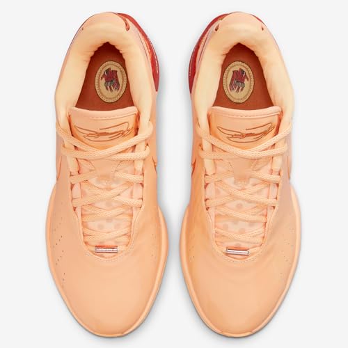 NIKE Lebron XXI Basketball Shoes (FV2345-800, Melon Tint/Metallic Red Bronze/Monarch) Size 7.52